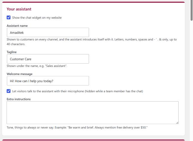 BuzyBuddy Settings: Your assistant section