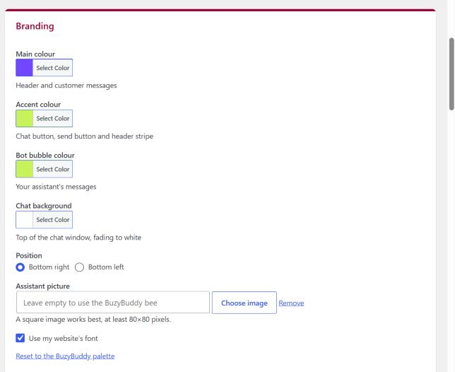 BuzyBuddy Settings: Branding colours, position and assistant picture