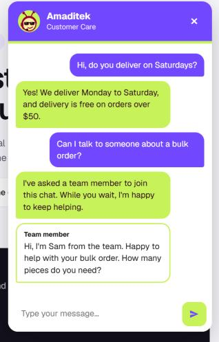 Visitor view of a team member reply in the chat
