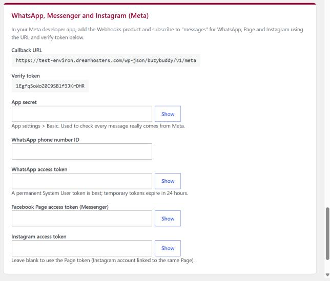 BuzyBuddy Settings: WhatsApp, Messenger and Instagram (Meta)